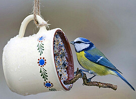 Banner Kinderaktion der "Tabertshausener Wildbienen" - Anfertigen von Winterfutter für Vögel