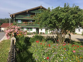 Banner Sommerfest mit Partner